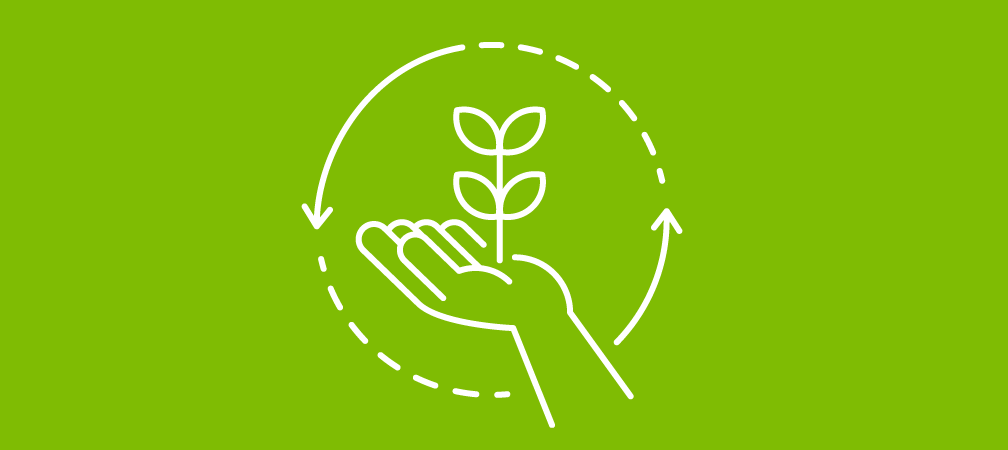 hand holding seed