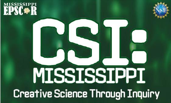 CSI: MS Logo